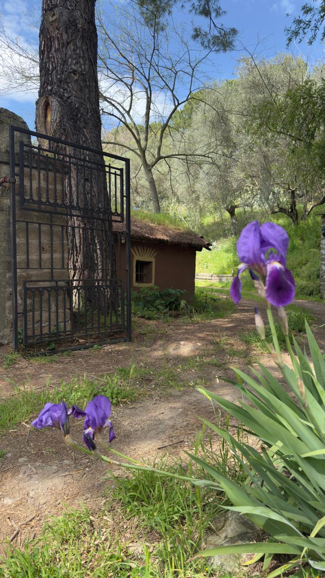 ヴィテルボ La Casa Del Grilloヴィラ エクステリア 写真
