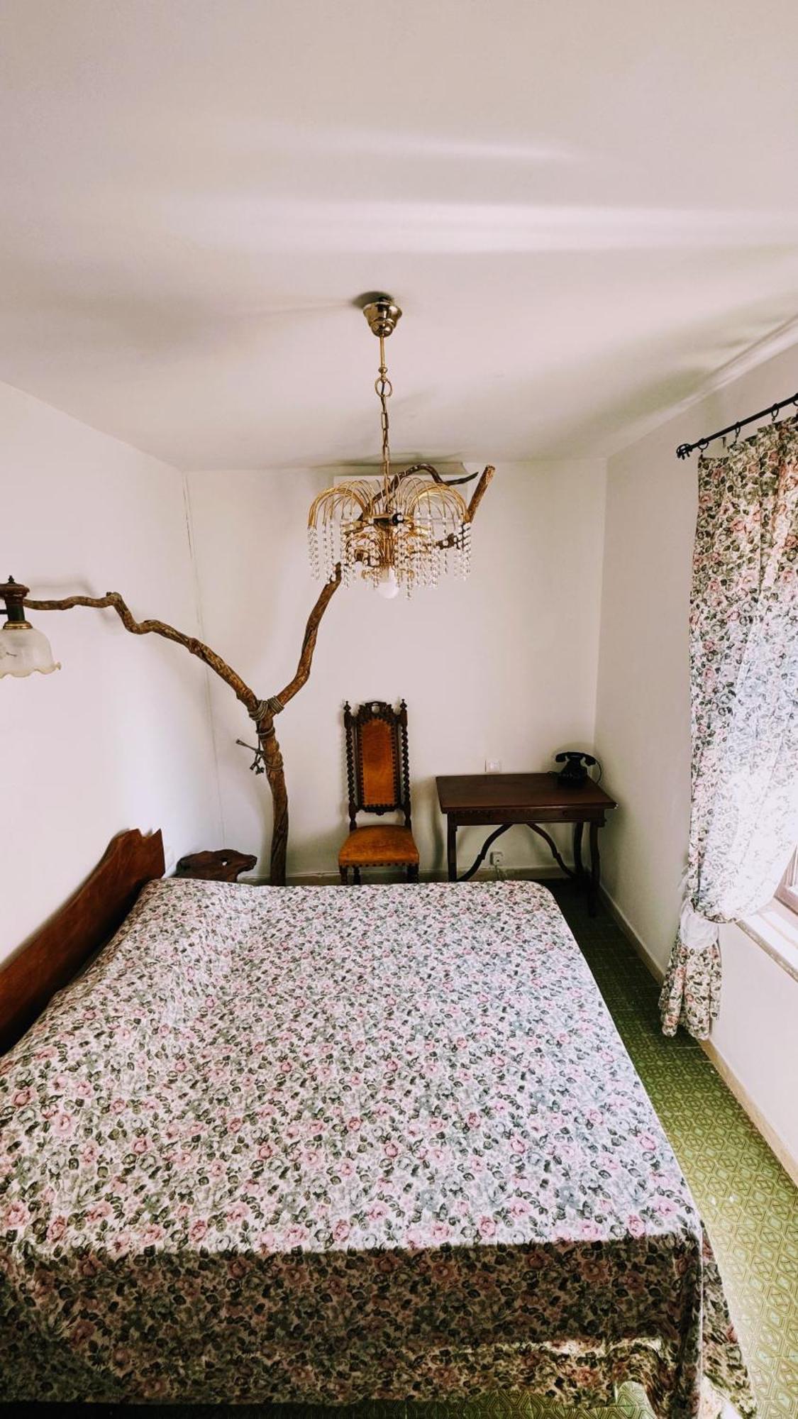 ヴィテルボ La Casa Del Grilloヴィラ エクステリア 写真
